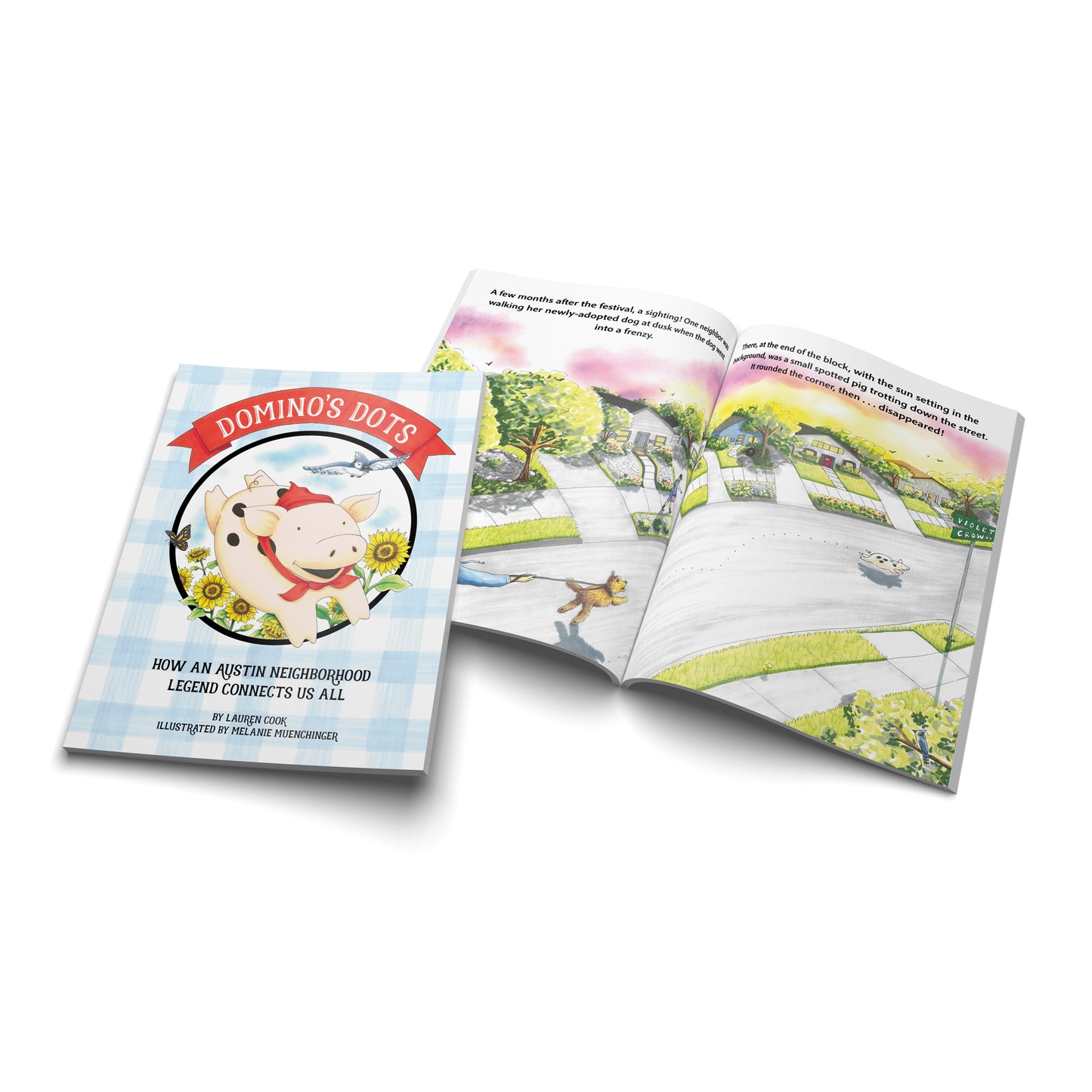Domino's Dots Book